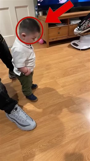 Baby's First Steps: Heartwarming Walking Moments