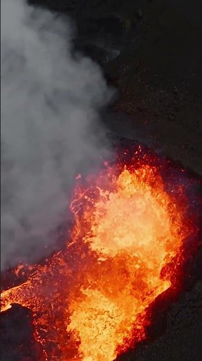 Volcano Wildlife Wonders