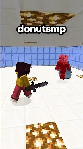 This Server Beat Donut SMP #minecraft #server #smp