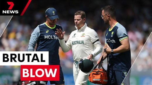 Steve Smith injured in World Test Championship final