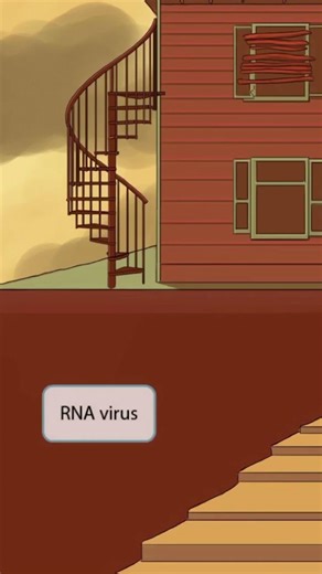 Hantavirus — A rodent-borne virus with severe pulmonary consequences