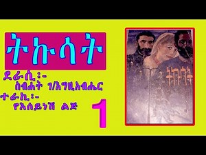 ትኩሳት ክፍል 1/ስብኃት ገ/እግዚአብሔር/Amharic Audiobook Narration SEBHAT G/EGZIABHER/TIKUSAT PART 1