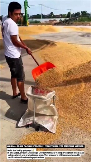 Manual Grain Packing Process | Traditional Yet Effective Method.