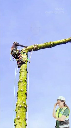 Tree Cutting Safety -One Wrong Cut Can Be Fatal! #thinkbeforeyouact #safetyawareness #learnwithnajma