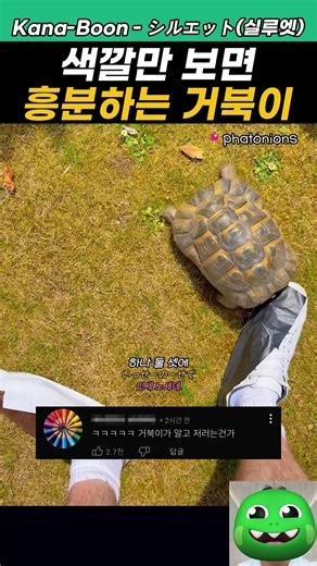 색깔만 보면 흥분하는 거북이
