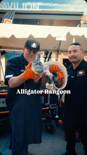 Alligator Rangoons I have cooked a lot of alligators over last 5 years but this was definitely the best one yet. Seriously so juicy and I really believe it was because it cooked on the rotisserie of @yodersmokers El Dorado over @jealousdevilcharcoal It also was one of the funnest cooks I have done with @406_bbq @plowboytodd and @joephillipsys #alligator🐊 #rangoon #rotisserie #lacoste #blazingstarbbq | Blazing Star BBQ