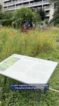 Even Disneyland can be a garden: Rice course reads power in landscapes of Paris