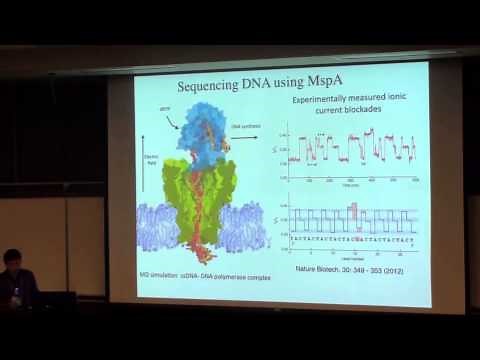 Aleksei Aksimentiev, "Nanopore Sequencing of DNA"