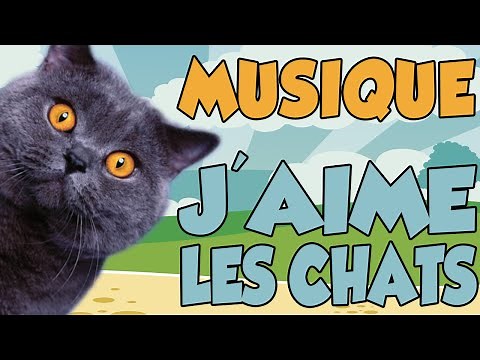 YOUTUNES - J'AIME LES CHATS (MUSIQUE)