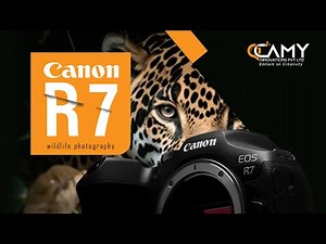Canon EOS R7 - Review