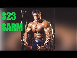S23 SARM REVIEW