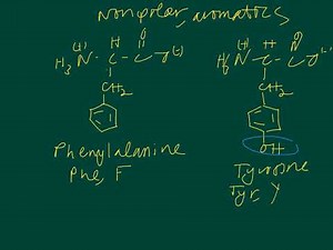 Amino acids (Dr Terrell)