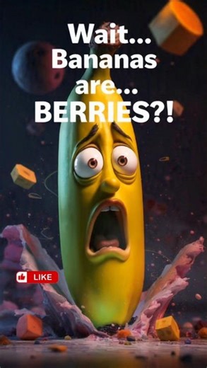 Bananas Are Berries, Yes! It’s a surprising fact: botanically speaking