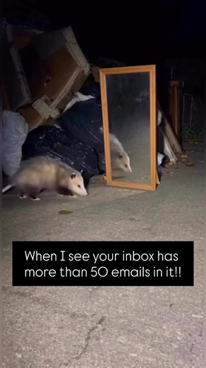 So I have a reputation of not liking overflowing inboxes and that is absolutely correct BUT! That is in my inbox! Not yours 😊 Your inbox, your rules. If you are happy with your system or you are happy with no system at all, that’s ok. If you feel productive, if you are not missing out on opportunities and not feeling overwhelmed then that’s fantastic. You should continue to do what works for you and don’t change it because you have heard or read someone elses opinions on what you need or should