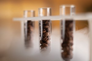 The big freeze: why there's no longer a barrier to coffee freshness - BeanScene