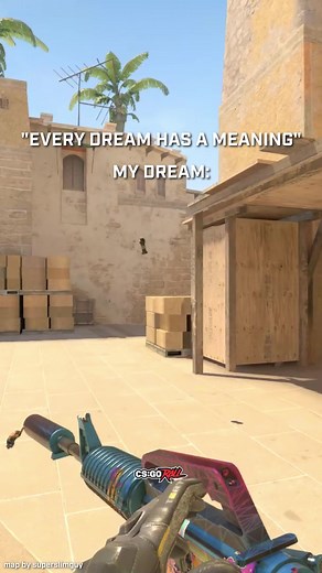 Understanding the Meaning of Dreams in CS:GO