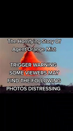 The Horrifying Impact of Agent Orange Mist on Vietnam