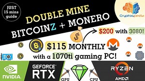 (Part 4) Who is the true disciple of Satoshi's Vision? The XMR or BTCZ? Maybe KMD, RVN, DGB, LTC, BCH, ZEN, or BSV?