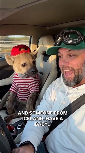 Me and my dog Eddie love cruising around in my Lamborghini!!!