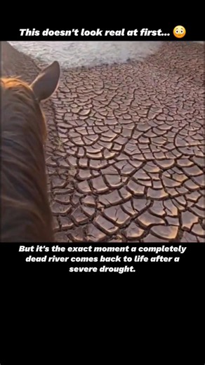 When a Dry River Instantly Fills 🏜️