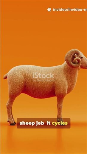 10 Mind-Blowing Minecraft Secrets Revealed!