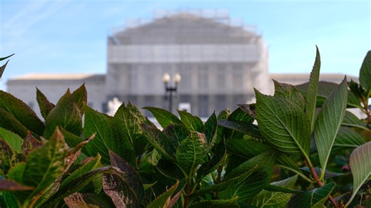 Louisiana prison guards cut a Rastafari inmate's dreadlocks. Supreme Court will decide if he can sue