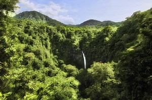 “Inhale nature. Exhale love.” Costa Rica’s La Fortuna waterfall is fed by the Arenal River which flows though the rainforest and Arenal Mountain Range until plunges about 250’ over the edge to an oasis below where you’re welcome to take a swim. Follow us and share our page to see our new Costs Rica video series coming soon! | Barefoot Globetrotter