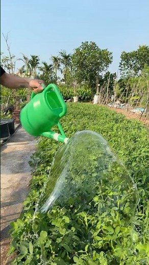 Genius Watering Can Trick That Actually Works 🤯 #plants #hack