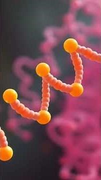 Unlocking the Secrets of Protein Synthesis! 🧬✨