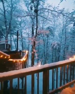 2.8K views · 98 reactions | B O O M H U T  - Kijk nou ↓ Treehouse...