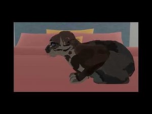 When a cat gives birth /Warrior cats/