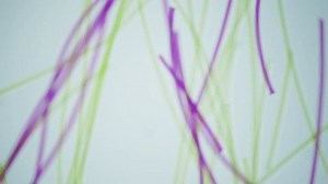 Nylon fiber under a microscope. 100x magnification. High-tech raw materials for micro 3D printing. Smooth movement. Creation of microrobots