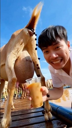 How to Make Bubble Tea at Home 🧋