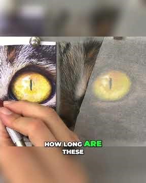 drawing fur with pastels #arttutorial #drawing
