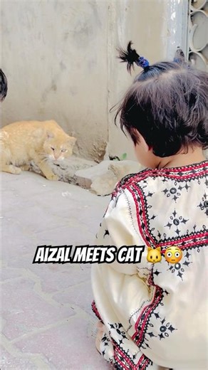 Aizal Meets Angry Cat 😳🔥