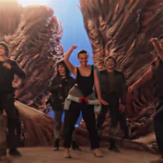 Pov: the cast of stranger things after defeating vecna