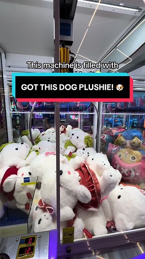 New Dog Plushie from the Claw Machine Experience