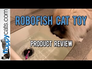 Robo Fish Cat Toy Product Review Video Blackhole Cat Littermat YouTube