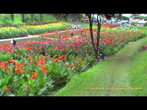 The Colorful Selecta - Batu, East Java