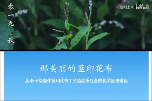 【蓝印花布】从李子柒染制蓝印花布全过程涉及化学原理讲起（大师课赠礼）
