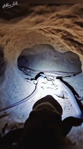 POV Animal Camera Inside an Underground Colony🐜| Real Wildlife Experiment#wildlife#naturedocumentary