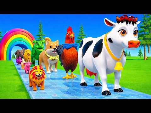 دعاء خاشع في اليوم التاسع من شهر رمضان المبارك دعاء خاشغ تهتز له القلوب - Doa Ramadan - علاء عقلV