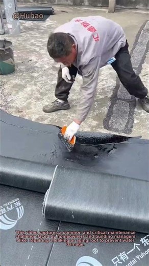 How to Waterproof a Roof with Black Sealant: A Simple DIY Guide