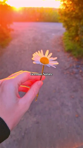 Exploring the Beauty of German Nature