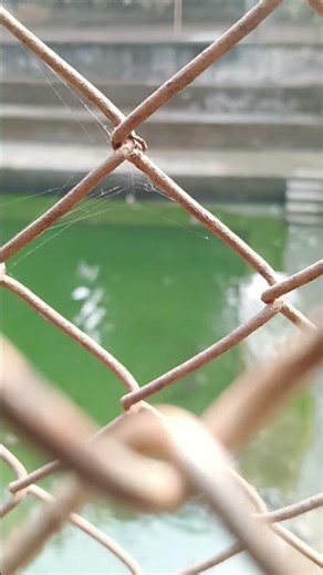 short #cutebaby video