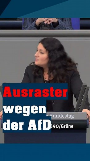 Ausraster wegen der AfD 👉 Lasst ein Like, ein Abo und einen Kommentar da. #NoAfD #afdverbotjetztprüfen Plenarsitzung vom 09.11.23 | No AfD