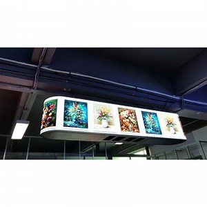 [Hot Item] P2.0 Flexible LED Video Display Module