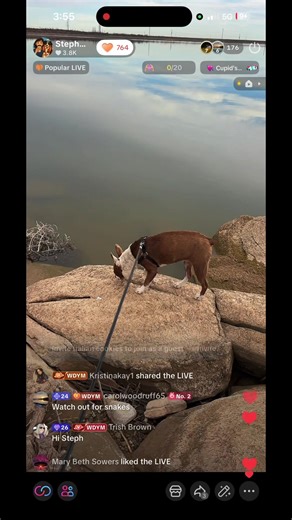 Exploring Van Life as a Solo Female Traveler