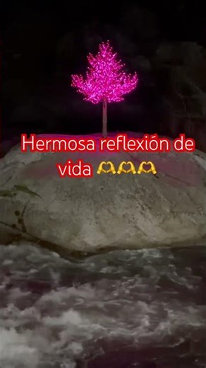 Beautiful reflection on life 🙏🏻🫶 #selfimprovement #quotes #reflection #peace #iamofthe7thousand #...
