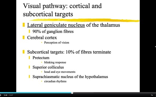 8-Visual pathway